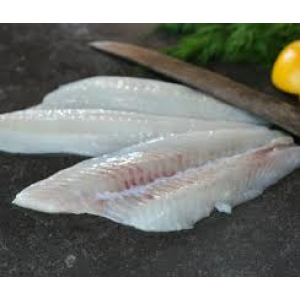 Flounder Fillet